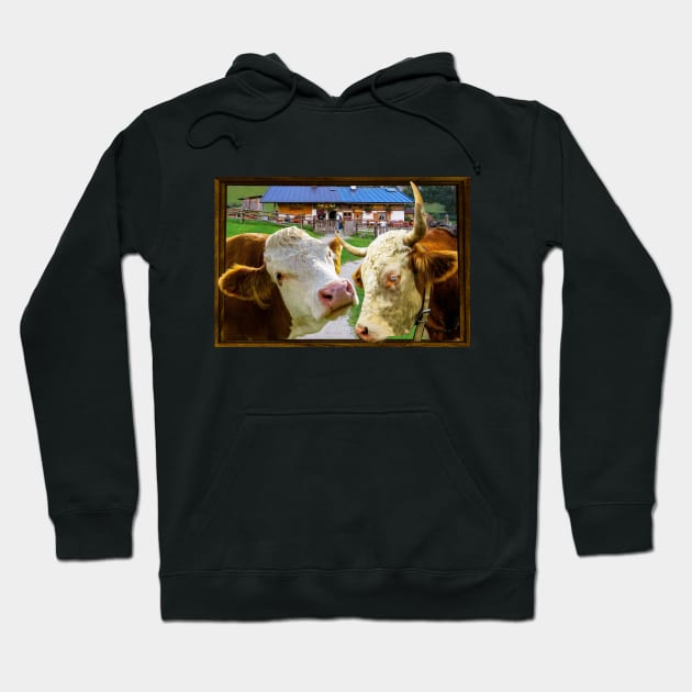 Home on the Range Hoodie by cameradog